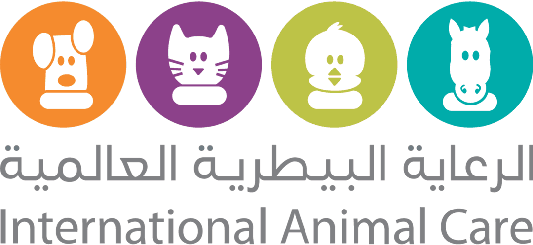 Digital X-ray equipment