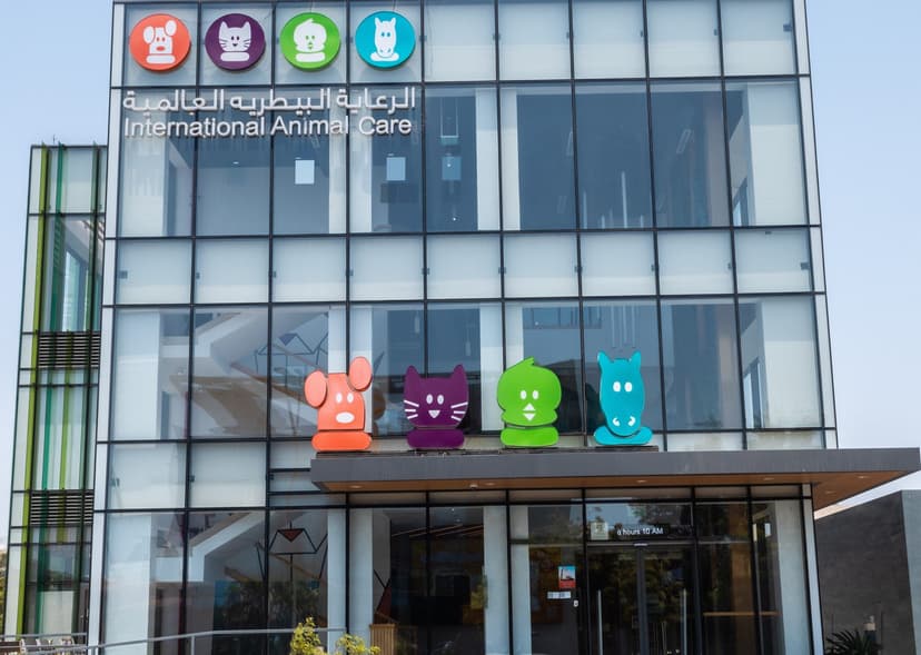 Veterinary wellness exam